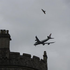 IMG 9363