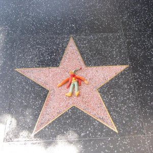 IMG 9590
