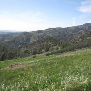 IMG 9813