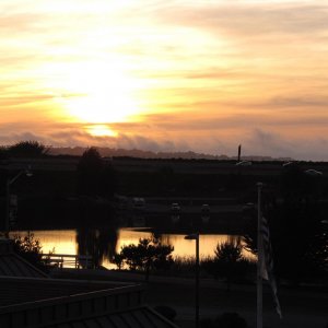 IMG 0087