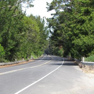 IMG 0090