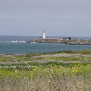 IMG 0091