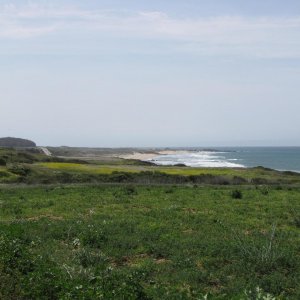 IMG 0098