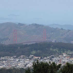 IMG 0118