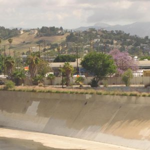 IMG 0171