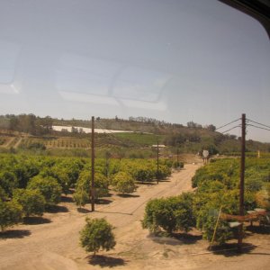 IMG 0187