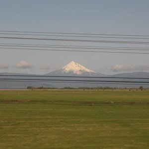 IMG 0325