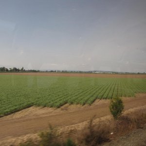 IMG 0365
