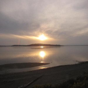 IMG 0429