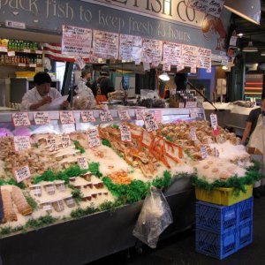 IMG 0497