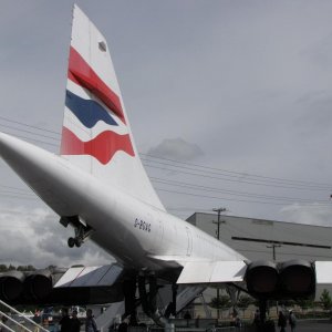 IMG 0621