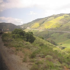 IMG 0289