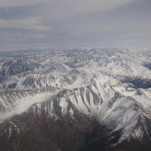 IMG 2642