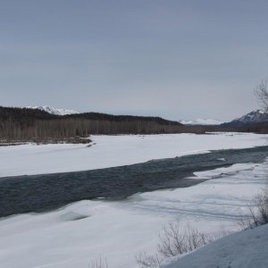 IMG 2744