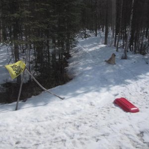 IMG 2768