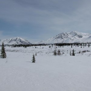 IMG 2794