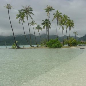 Strand2