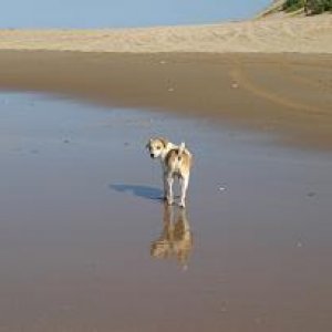 Mosambik Guinjata einsamer Strand
