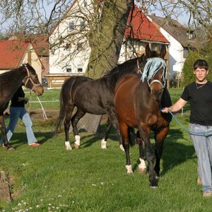 erster Koppeltag 07