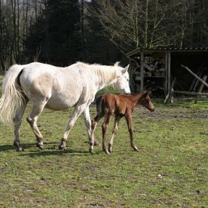 Mutter so dÃ¼nn, 2 Tage nach Geburt