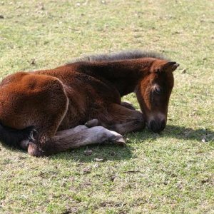 Baby 2 Tage alt