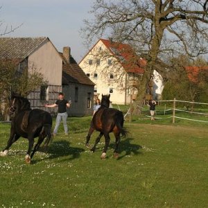 links sharon 24 jhr