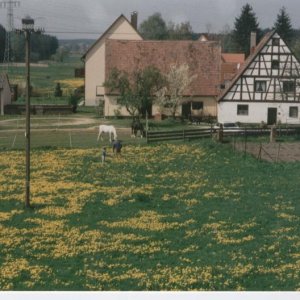MÃ¤useburg