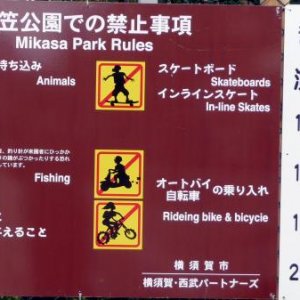 P1030038