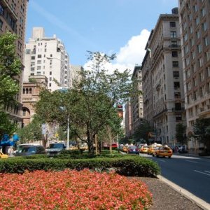 DSC 0240