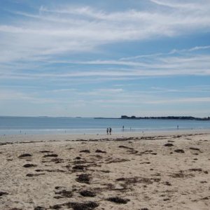 DSC 0290 2