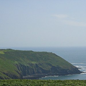 IMG 6915