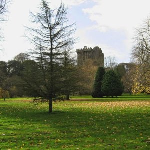 Blarney