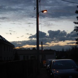 DSC 0311