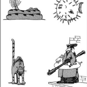 LHPJ Erkennungslabel