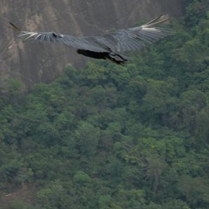 Rio2015011