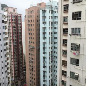 IMG 7002