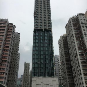 IMG 7004