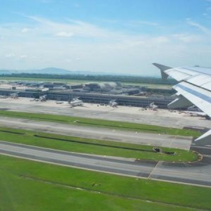 changi airport "bird's eye view"