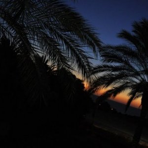 shefayim by night