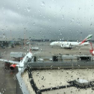 IMG 8994