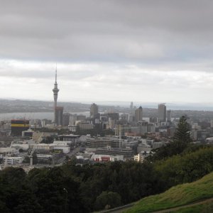 IMG 3654