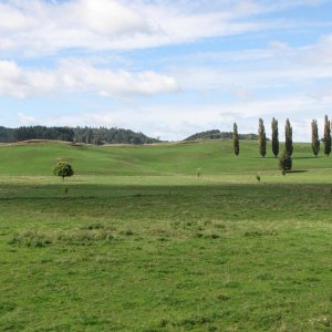 IMG 3738
