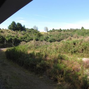 IMG 3768