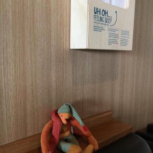 IMG 9397