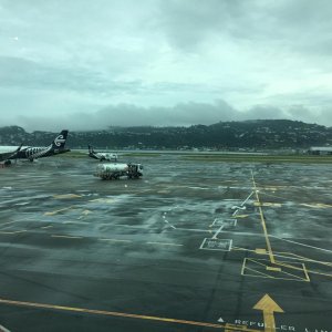 IMG 9512