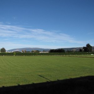 IMG 4138