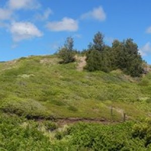 Maui01