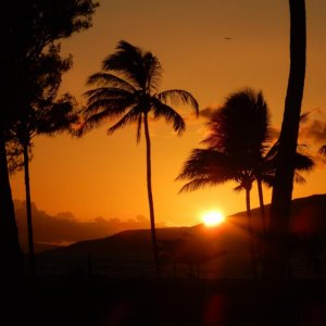 Maui03