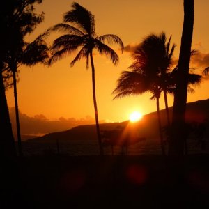 Maui04