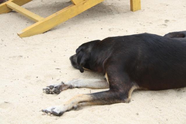 2010 08 Mexico 617